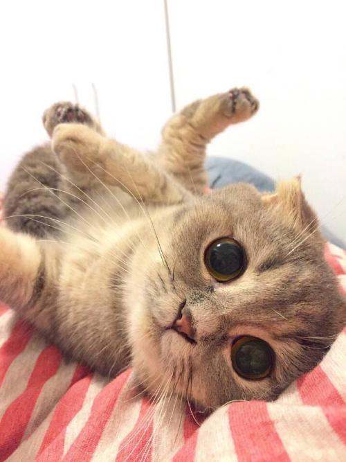 ɽһС5δůνģ31չů