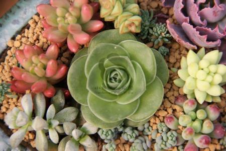 ɽһС5δůνģ31չů